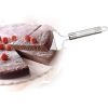 Triangular Spatula Stainless Steel with Serrated Edge has Hanging Loop Slicing for Cutting Cake Pizza Pie Pastry Dessert and Lasagna